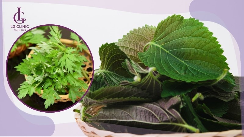 cách tắm trắng bằng lá tía tô và ngải cứu