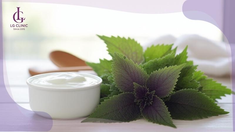 cách tắm trắng da bằng lá tía tô và sữa chua