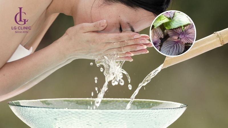 Rửa mặt bằng lá tía tô