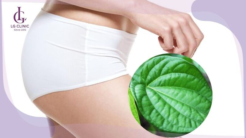 cách loại bỏ lông mu bằng lá trầu không tại nhà
