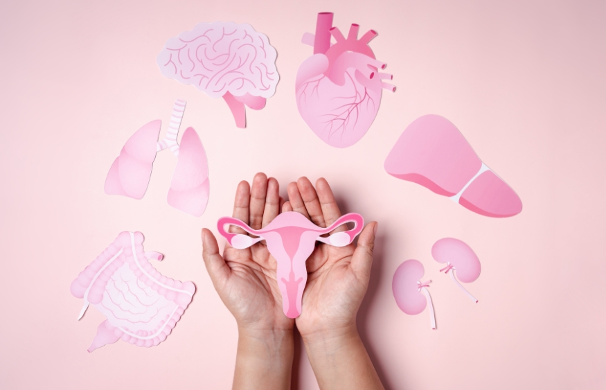 Nội tiết tố nữ bị rối loạn