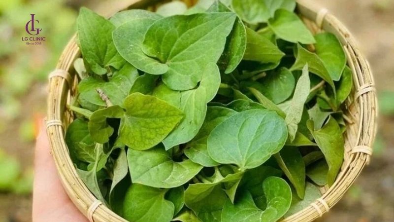 rau diếp cá trị hết thâm mụn
