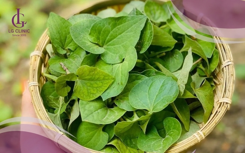 Phương pháp sử dụng rau diếp cá trị mụn thâm