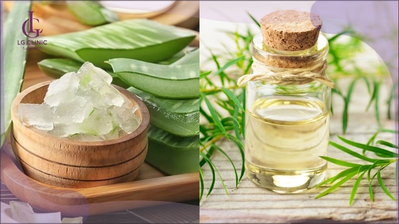 làm trắng sáng da bằng dầu dừa và nha đam