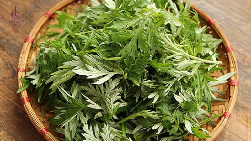 ngải cứu