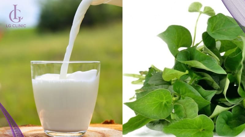 Tắm trắng da an toàn bằng hỗn hợp sữa tươi và rau diếp cá tự nhiên.