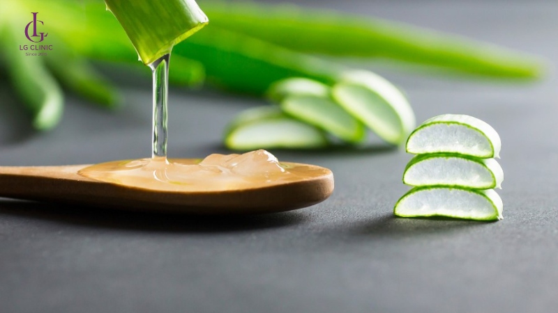 nha đam là thảo dược giúp triệt lông hiệu quả