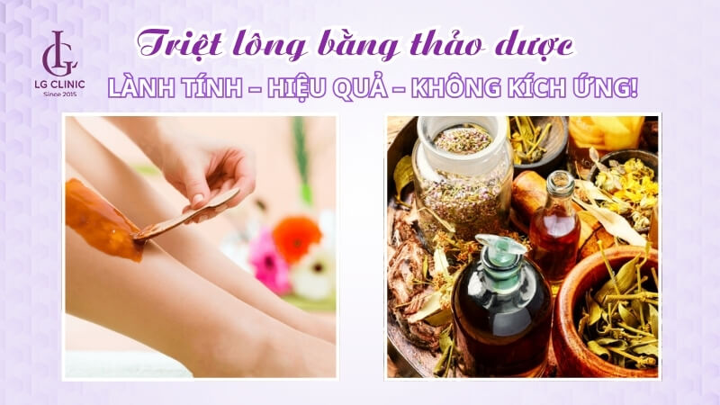triệt lông bằng thảo dược an toàn