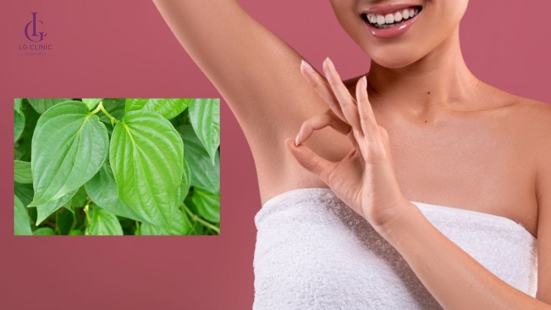 triệt lông bằng lá trầu không