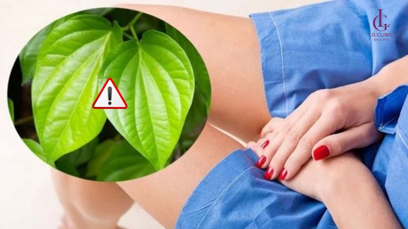 Lưu ý khi sử dụng lá trầu không triệt lông