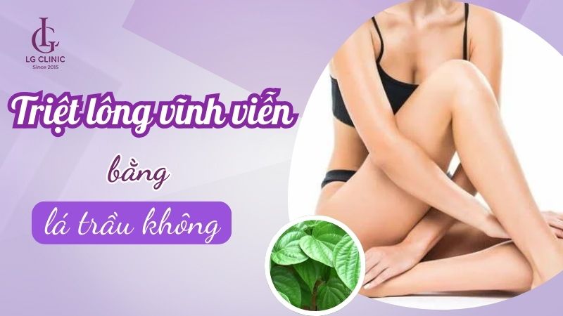 triệt lông vĩnh viễn bằng lá trầu không