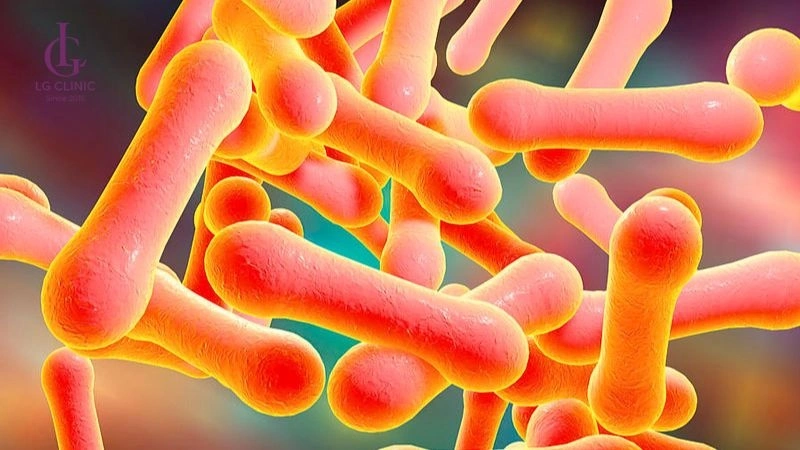 corynebacterium spp là nhóm vi khuẩn gây ra mùi cơ thể