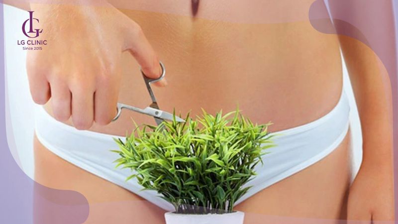 lông mọc ngược vùng kín do lông vùng kín dày và xoăn