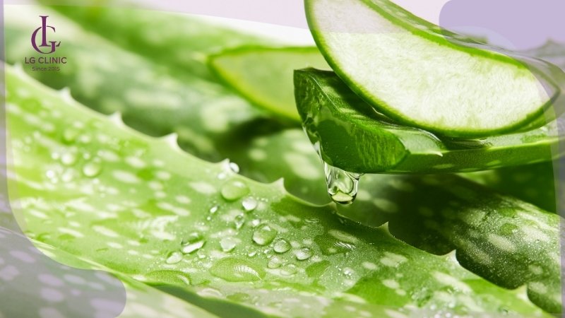 nhựa nha đam gây ngứa