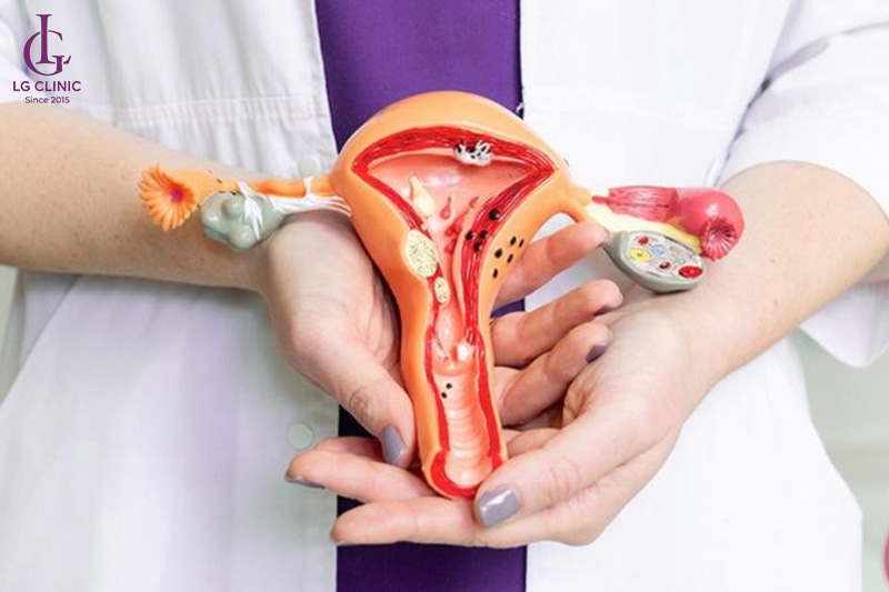 Tác dụng của axit lactic với vùng kín