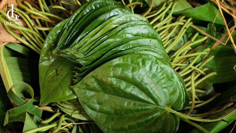 cách trị thâm vùng kín bằng lá trầu
