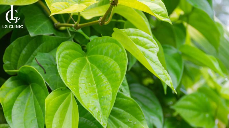 vùng kín có mùi hôi tanh