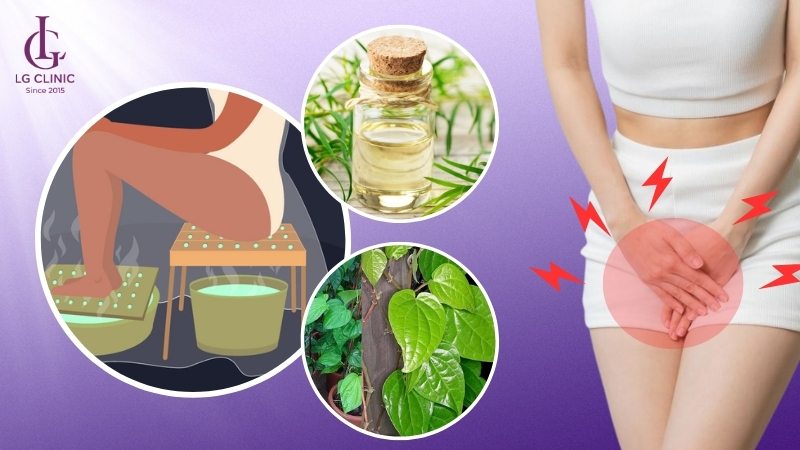 Sử dụng lá trầu không