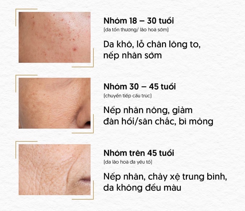 da phù hợp với revok50