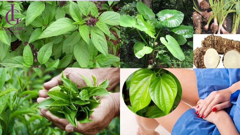 trị viêm da vùng kín bằng thảo dược