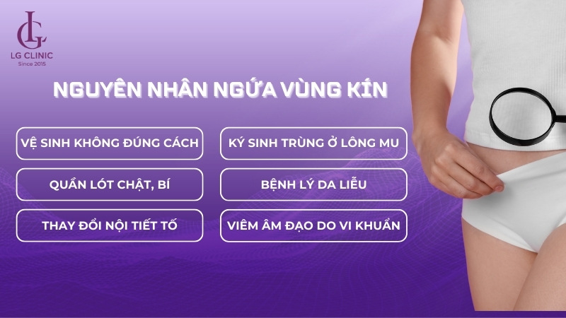 nguyên nhân ngứa vùng kín