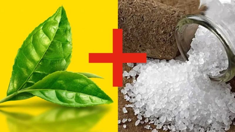 muối và trà xanh