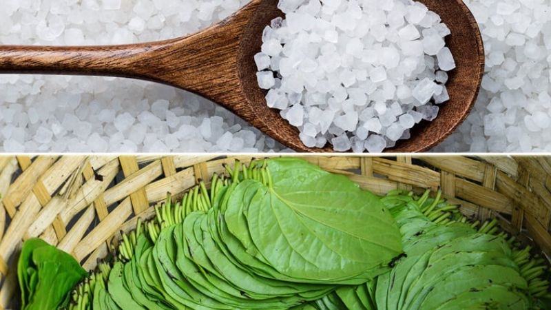 muỗi loãng và lá trầu không