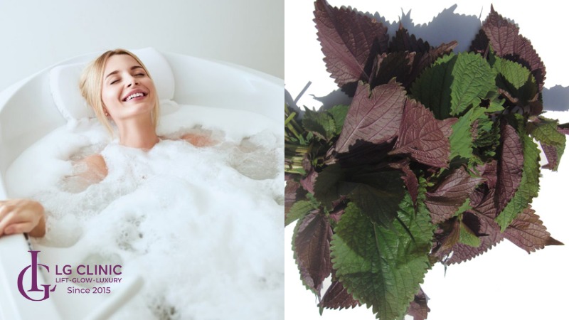 Cách trị mụn lưng bằng lá tía tô 