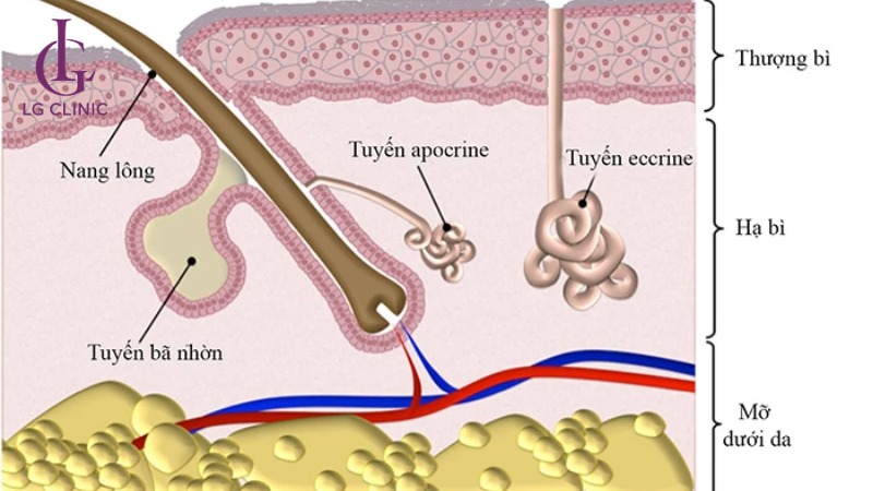 Làm sao để biết mình có bị hôi nách không
