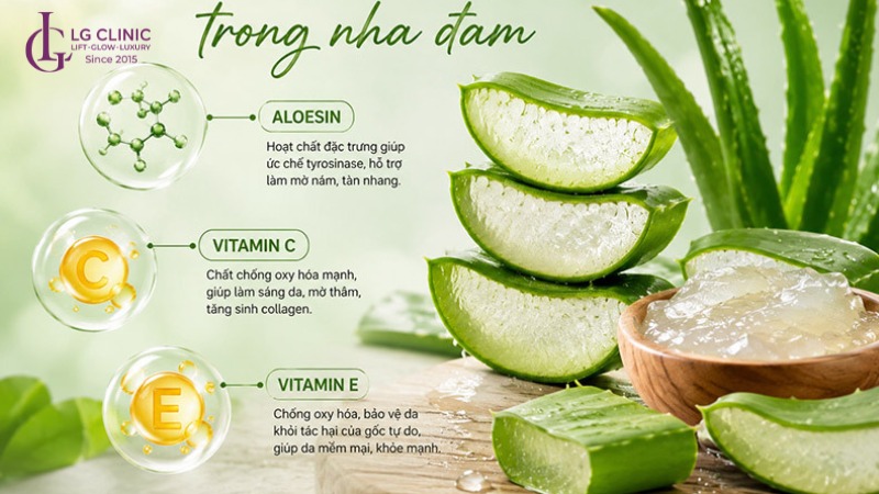 cách trị nám bằng nha đam