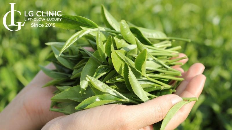 Cách trị thâm mụn bằng lá chè xanh tại nhà