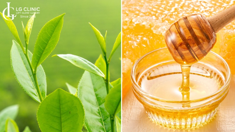 Cách trị thâm mụn bằng lá chè xanh