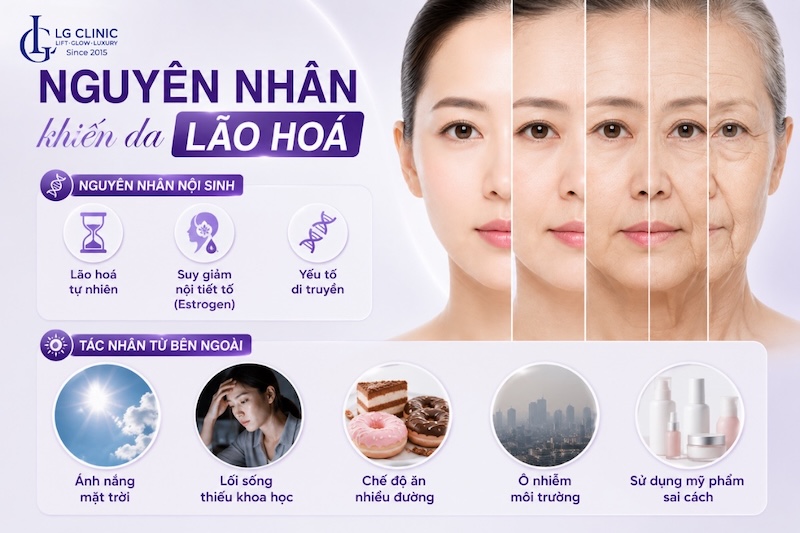 nguyên nhân da lão hóa sớm