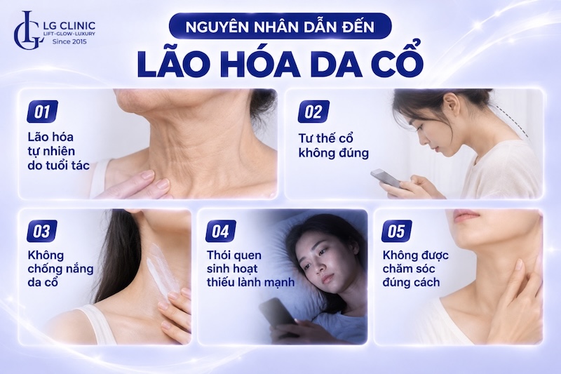 da cổ bị lão hoá do đâu