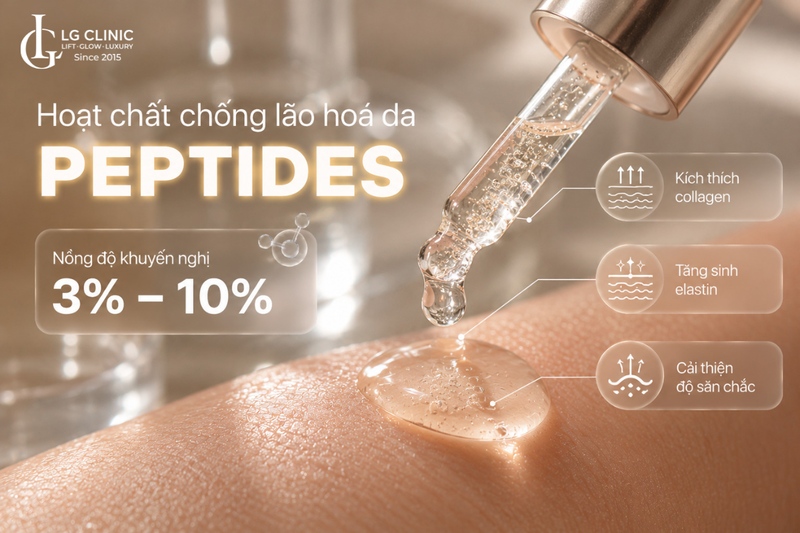 Hoạt chống chống lão hóa da Peptides