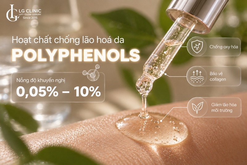 Hoạt chống chống lão hóa da Polyphenols
