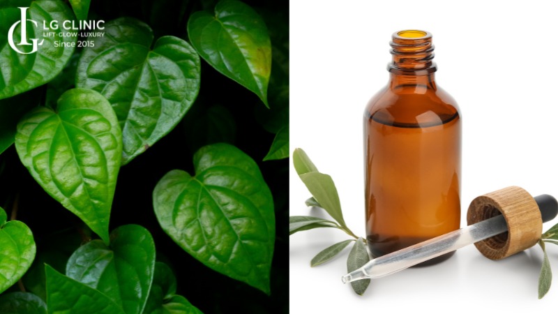 trị nám bằng lá lốt