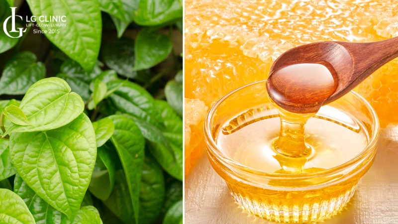 trị nám bằng lá lốt